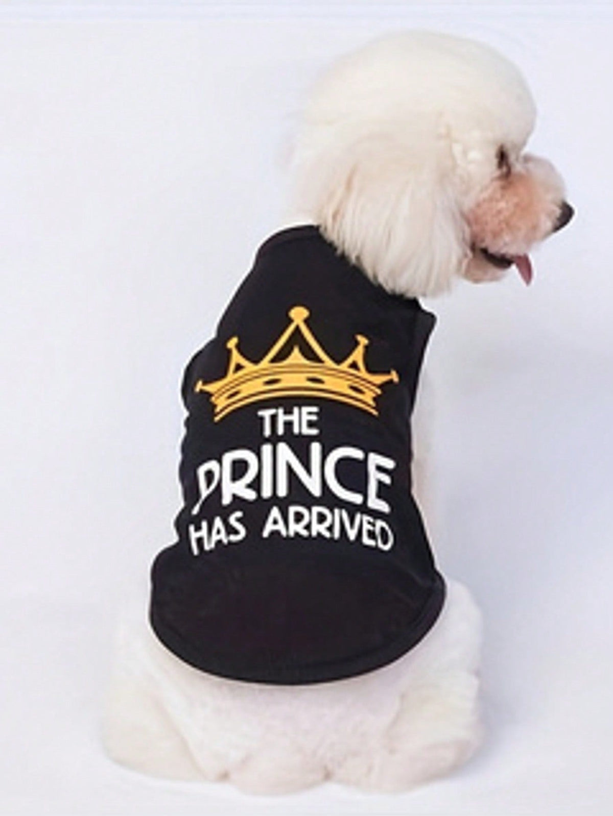 Pet Clothes
