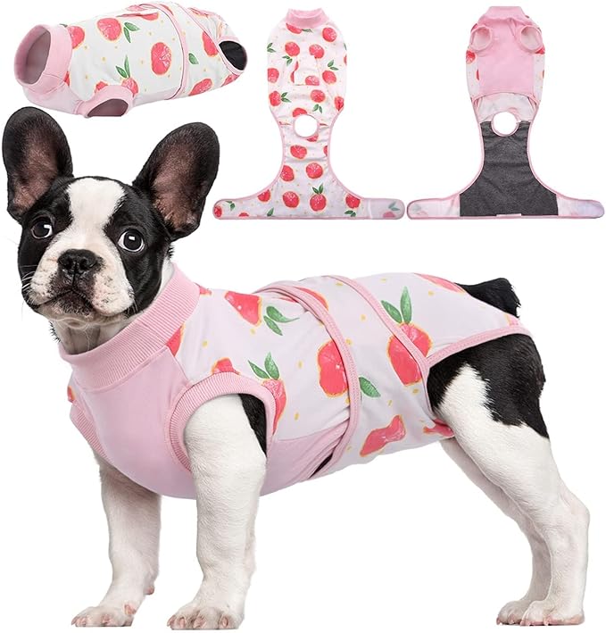 Pet Recovery Supplies
