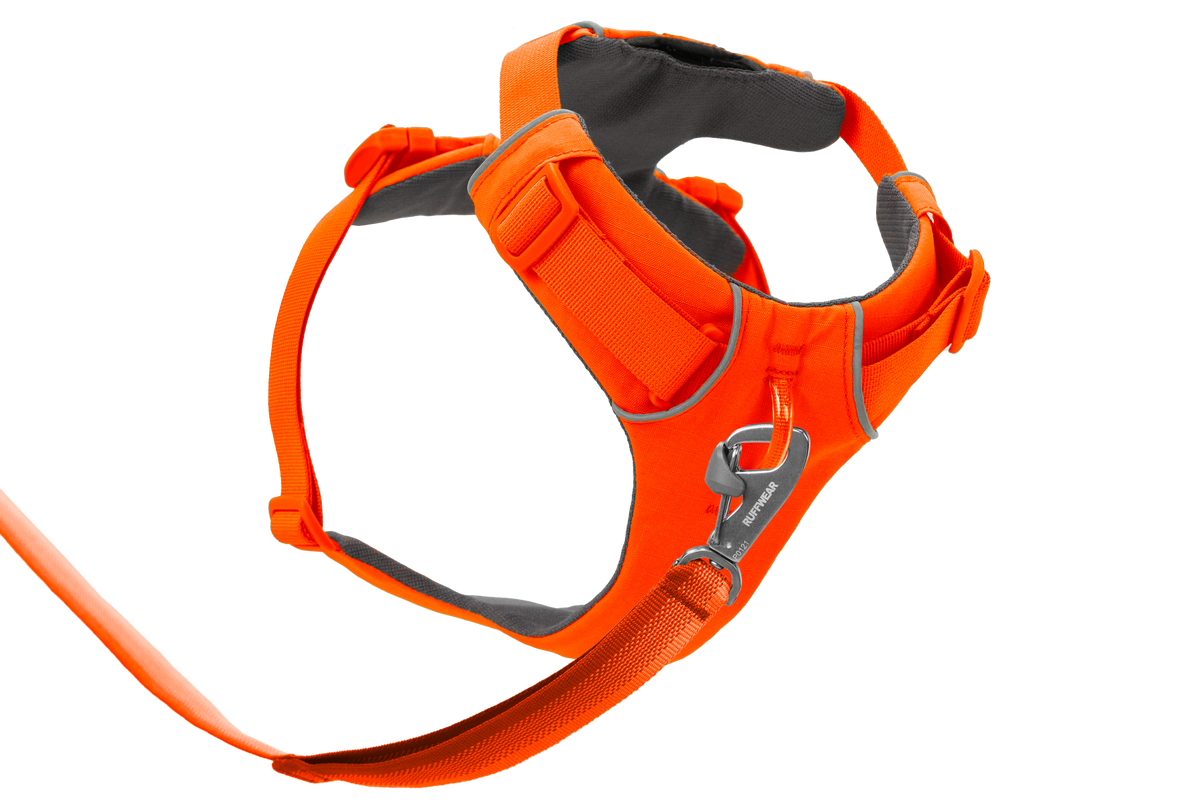 Front Range® Harness