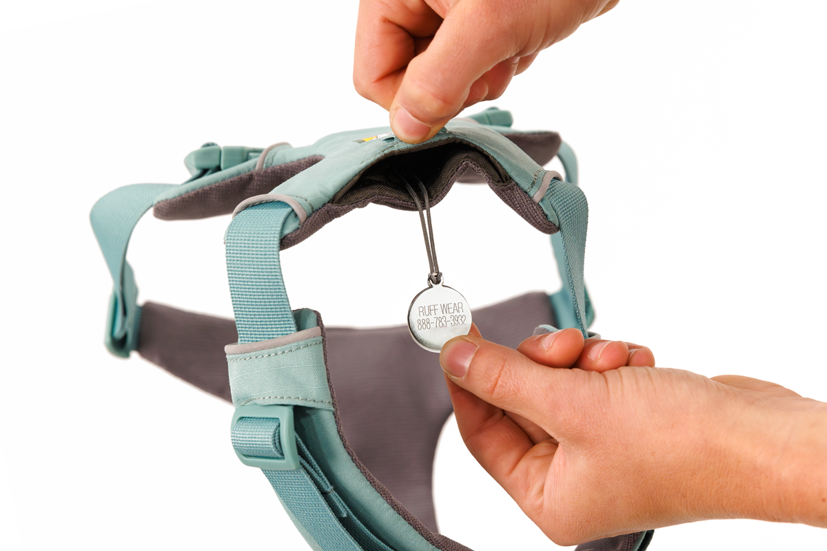 Front Range® Harness