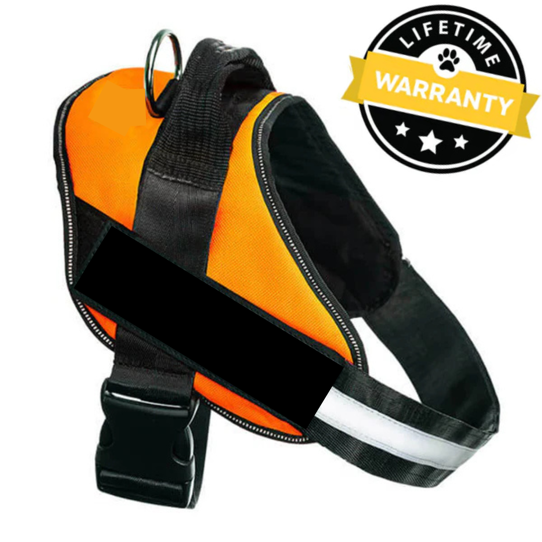 No Pull Dog Harness Australia | Easy On/Off in 2 Seconds
